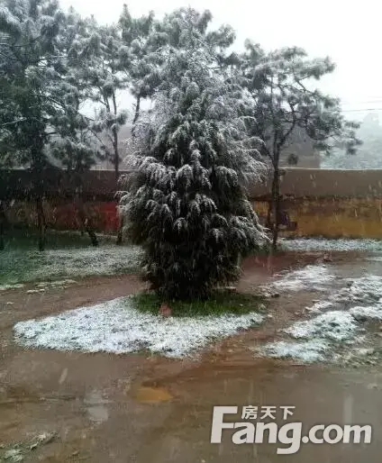 Ӵ ѩˣԶ