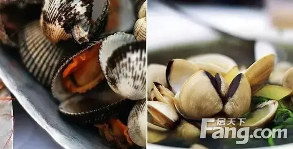 第十六课:来三亚不得不尝的海鲜美食