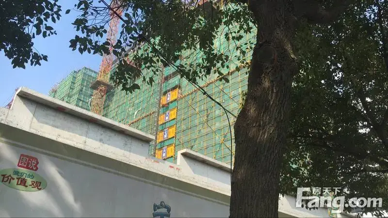 ӱ 40