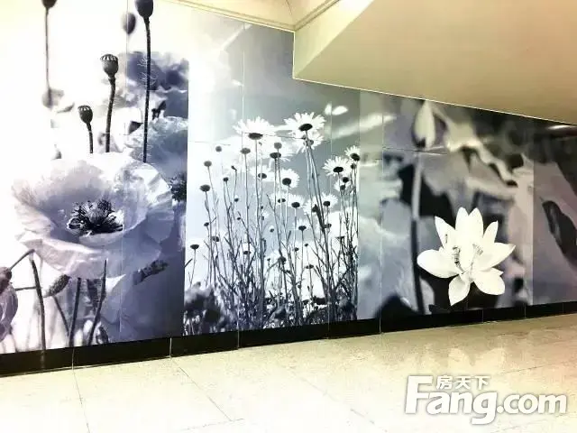 ¼ֱ人3&ͬͨ ϢͼƬ㼯