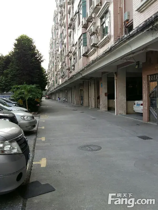 东宝楼二手房实景图