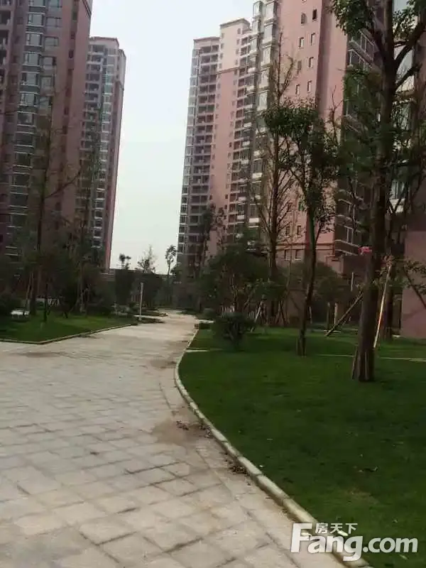 青南美湾3室1厅1卫东北朝向2400.00元/月出租