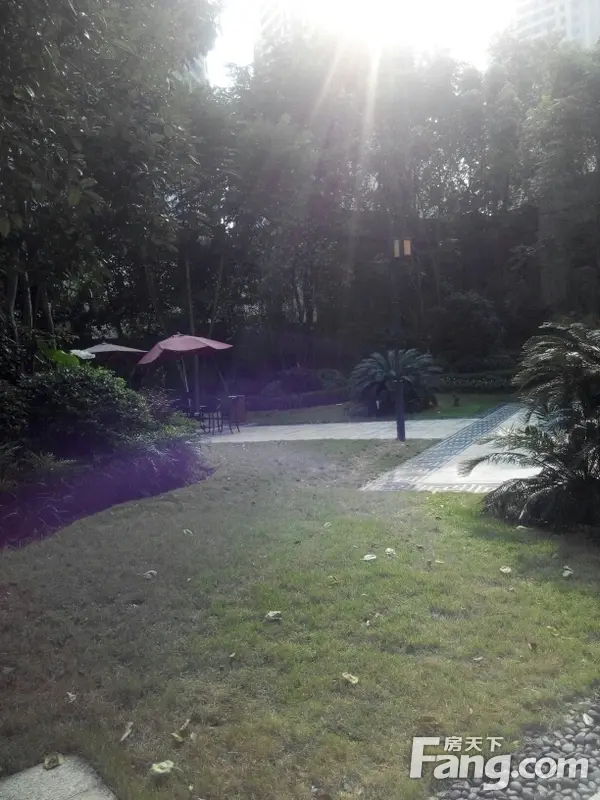 保利港湾国际-刚需如何置业?多维度剖析 足不出户挑选品质好房