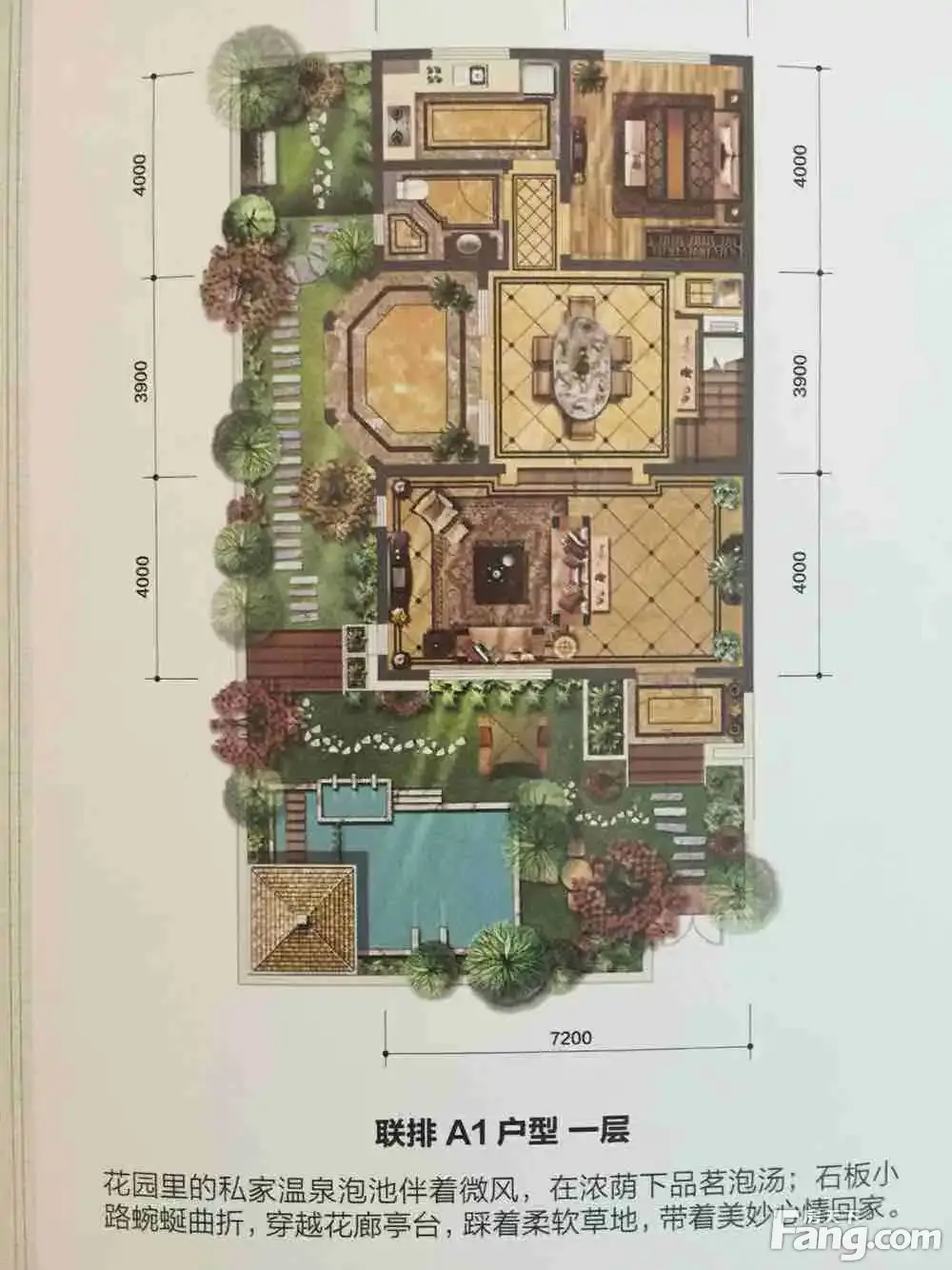 温泉新都孔雀城别墅户型图3