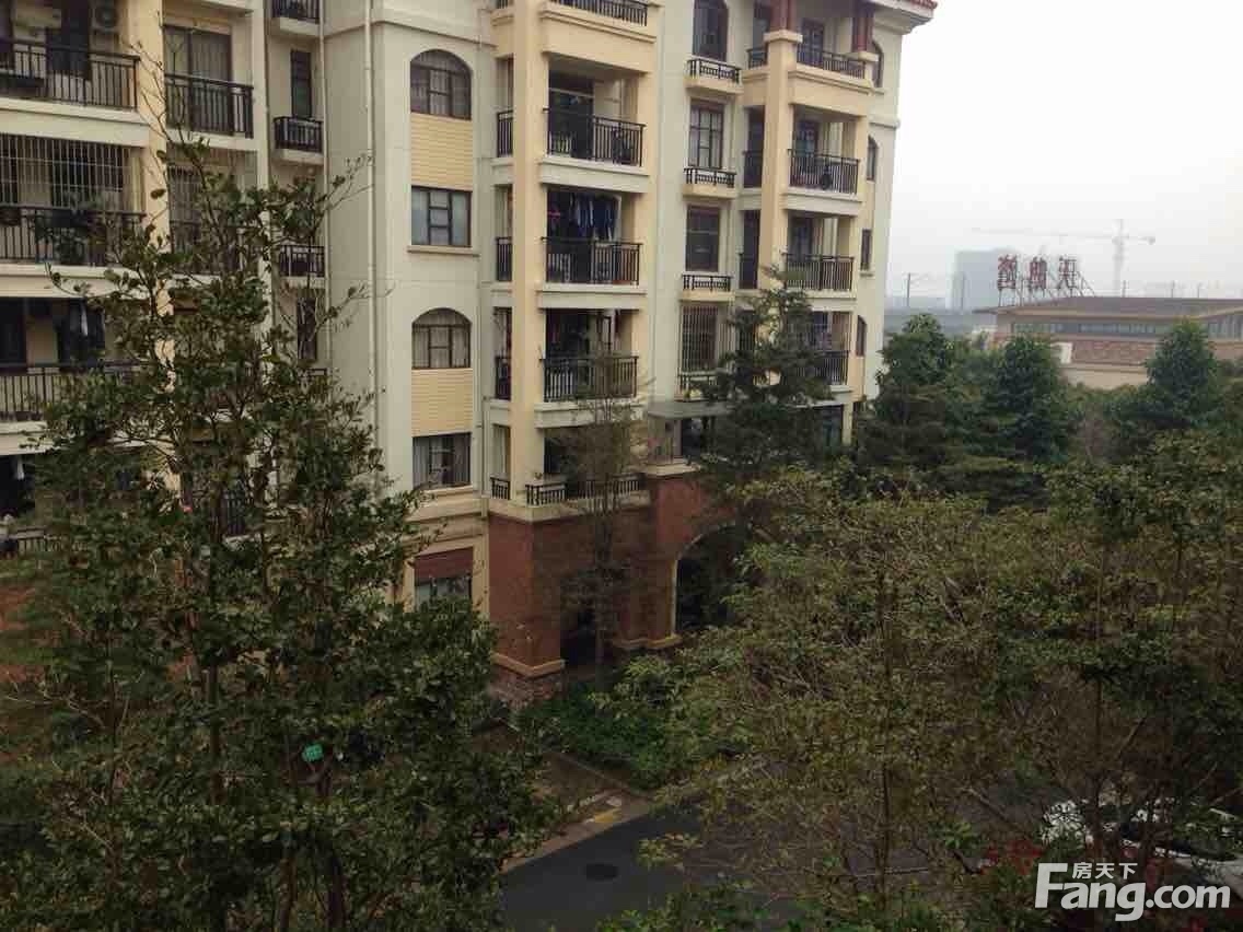 天鹅湾