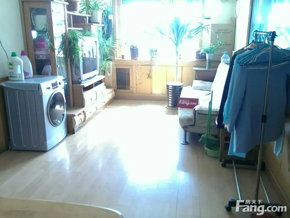 莲怡园一区二手房实景图