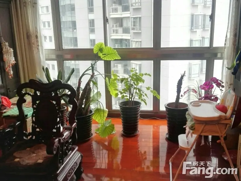 浦江名邸二手房实景图