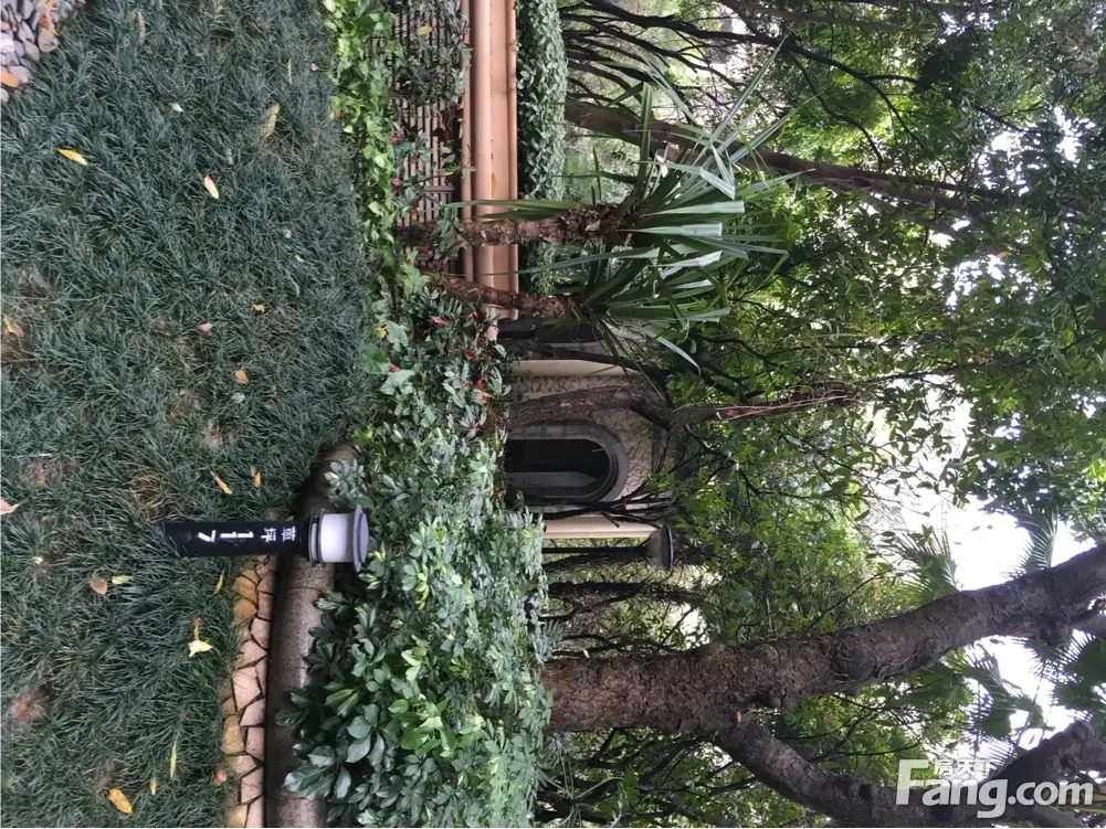 翡翠绿洲森林半岛二手房实景图