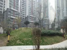 金泰盛唐至尊 5室2厅 南 北