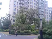 汇金地铁口新城边套别墅,难得的产品,大理石实木装修