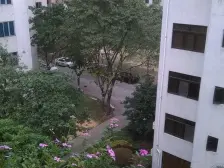 丽城花园电梯三房 保养好 配套齐全