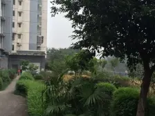 新怡家园 2室1厅 东南