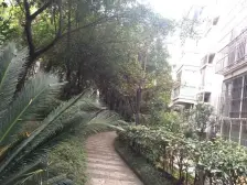 户型通透,板式结构,精装满二,采光充足,诚心出售