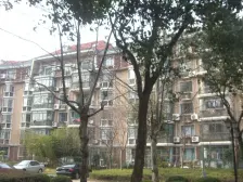 淞宝城区,白玉兰花园,高档住宅,电梯房