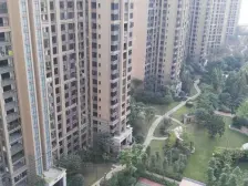 龙头寺 鲁能星城六街区三房147万