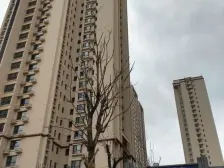 南河庭院电梯房 南北通透精装修 看房提前联系就行