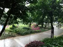 经开区 万友七季城C区三房97.8万