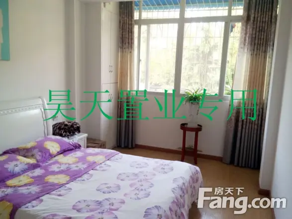 金信花园