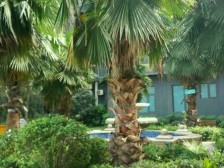 直港 福星颐美华庭三房68万