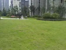 双山 晋愉盛世融城A区三房100万