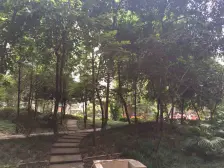 新桥正规两房,精装修,拎包入住,出行方便