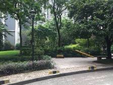 奥园四期 清水一房 视野看绿化 采光没问题