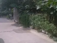 地矿厅家属院 电梯双气 纯南户型 装修好 业主诚心卖