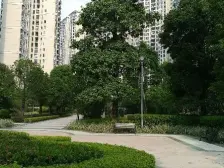 一线湖景大平层,景观视野很漂亮,位置安静,两梯两户