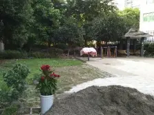 南坪南滨路轻轨房 视野好 住家方便 业主诚售