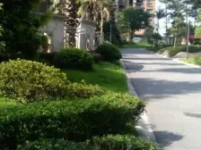 滩子口片区 金源利青国青城二房46万