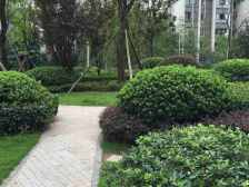 保利可爱岛 4室2厅 南