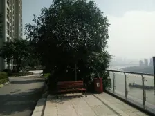 谢家湾 金科VISAR国际二房48万