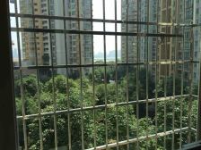 电梯洋房低总价红谷春天万达华府普瑞花园旁