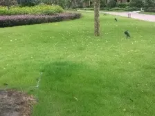 大学城 协信城立方天娇名城一期二房45万