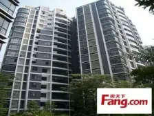 保养好 高楼层 采光好 看房方便