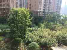 联泰尚城精装通透两房,小区环境优雅管理到位,读南大九年制