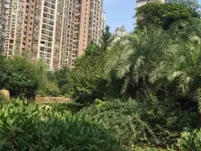 薪上优质好房视野采光楼层好业主置换诚心出售随时看房