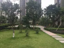 两岸猿声啼不住 这套精装三室还得您来住