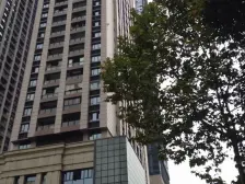 大坪 英利国际广场二房