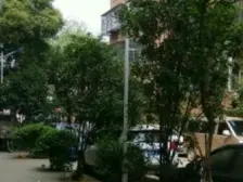 豫章路省委大院(豫章路50号) 3室1厅 东南