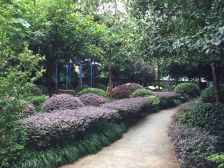 毛线沟 心巢御园一房43万