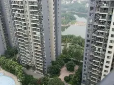 金科云湖天都 4室2厅 南