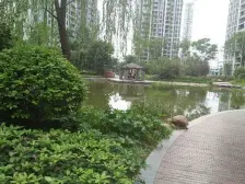 公园旁 精装修 大两房 带露 台业主稳定 诚心出售