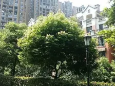 旭辉新里城 2室2厅 东南