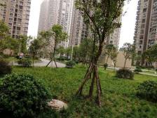 双碑 宏城名都二房