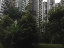 东福宏洲 2室1厅 南 北