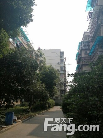 泰和园