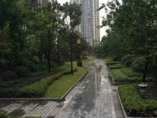 巴国城全中庭顶跃 前后双露台 装修逾百万