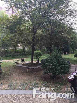 万江共和新城地和苑