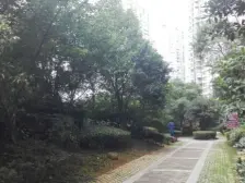 圣淘沙花园 3室2厅 南